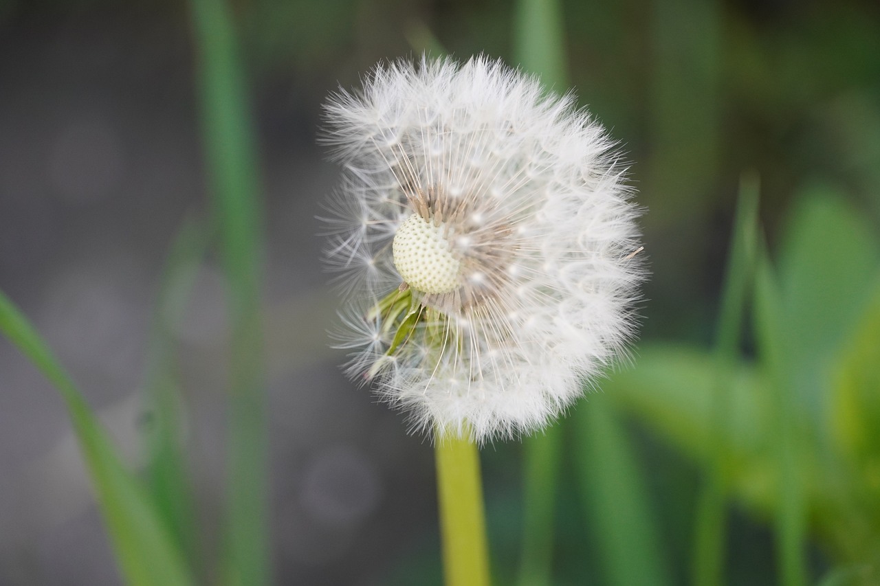 Understanding the Conscious and Unconscious Mind